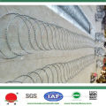 Hot sale military barbed wire fence
